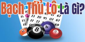 bạch thủ lô là gì